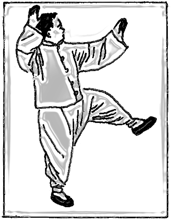 taichi 34, taichi Béziers, formation prof taichi